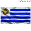 Connate Flag Assorted Countries : 15090 - Image 6