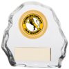 Sub-Zero Multisport Award- TCR20500 - Image 2