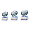 Solitaire Crystal Multi Sport Award- TCR9366