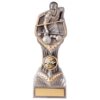 Falcon Pool Award- TPA20050 - Image 4
