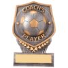 Falcon Football Coach's Player Award- TPA20083 - Image 6