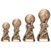 Trailblazer Football Male Award- TPA20395