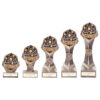 Falcon School Science Award- TPA22112