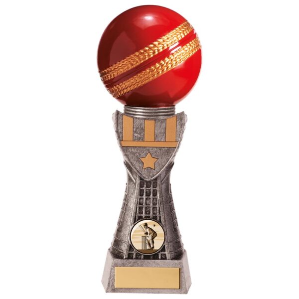 Valiant Cricket Award- TPM20238 - Image 4